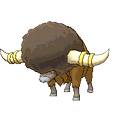 Frison image