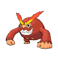 Darumacho image