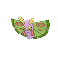 Papinox image