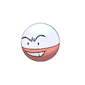 Electrode image