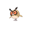 Hoothoot image