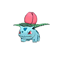Herbizarre image