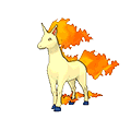 Galopa image