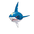 Sharpedo image