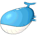 Wailord image