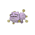 Smogogo image